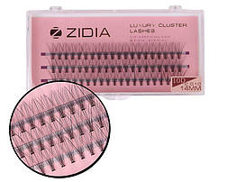 Вії накладні пучкові Zidia Cluster Lashes 10D C 0.10 (3 лєнти, розмір 14 мм)
