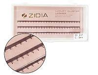 Ресницы нижние ленточные Zidia Lower Lashes 5D C 0.7 (3 ленты размер 5 мм)