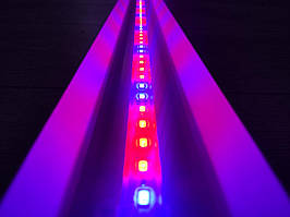 Світлодіодний фітосвітильник 24 Вт/метр, 4 червоні 2 синій, SMD5630 (72 LED/m) IP67 12V/12В.