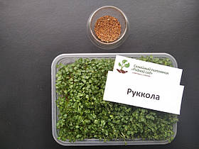 Рукола насіння для мікрозелені (5 грам)