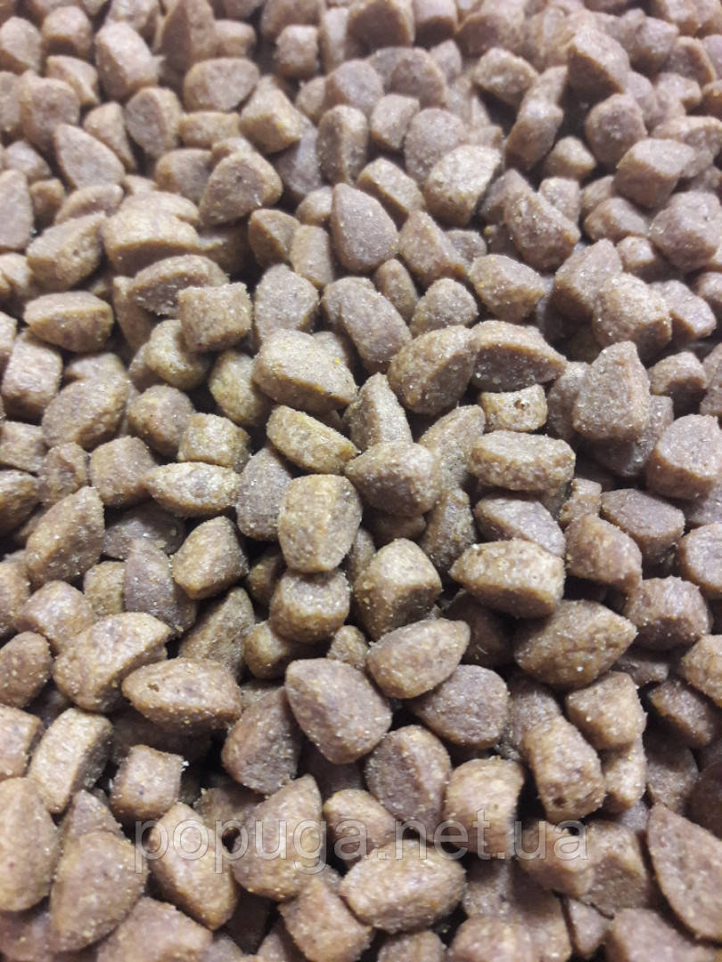 Корм на розвас CLUB 4 PAWS ПРЕМІУМ "З ЛОСОСЕМ", фото 1