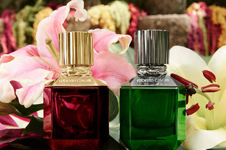 Дуэт ароматов от Roberto Cavalli