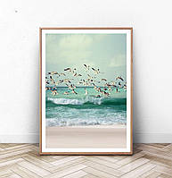 Постер на стену Beach Seagulls Ocean формат А3 без рам