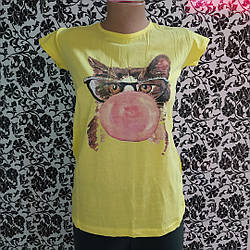 Жіноча футболка Котик