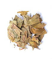 Гинкго Билоба (Ginko Biloba) листья целые сушеные 5 кг, PL