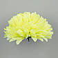 Хризантема штучна салатова 8 см, 12 шт. Хризантема для декору Д - 16 см, Хризантема флористика декор, фото 2