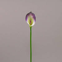 Штучна квітка Калла, Н 72 см, біло-фіолетовий, Штучні квіти, Дніпропетровськ