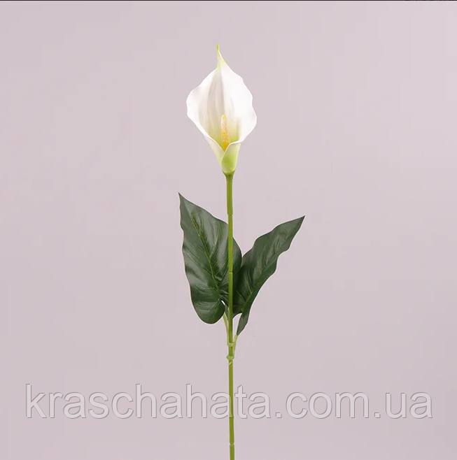 Штучна квітка Кала, Н 66 см, білий, Штучні квіти, Дніпропетровськ (ID ...