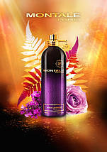 Montale Aoud Lavender парфумована вода 100 ml. (Монталь Ауд Лаванда), фото 4