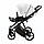 Дитяча коляска 2 в 1 Adamex Belissa Ecco SA-1, фото 6