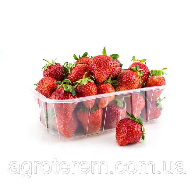 Пинетки для клубники (ягод) 500 г Т1 - фото 4 - id-p545214473
