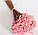 Гликсия суха Італійська блідо-рожева, фото 3