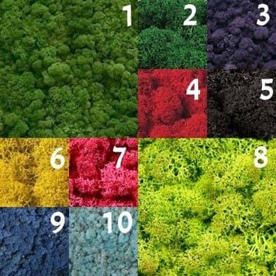 Панно з стабілізованого моху/панно з моху на стіну/декор з моху/Картина з різних видів моху, фото 4
