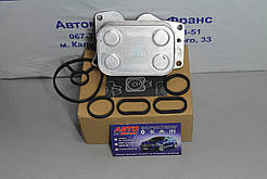 Радіатор оливи Citroen, Ford, Peugeot, Fiat 2.0Hdi