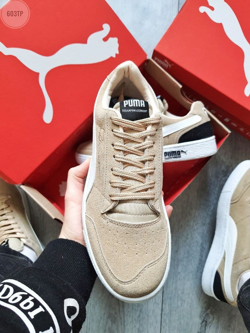 Puma Suede Beige Classic Beige White | мужские кроссовки / кеды ...