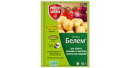 Белем Protect Garden (SBM) 60г