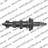 Вал первинний Т-16, у зборі із шестернями та підшипниками, СШ20.37.065, фото 3