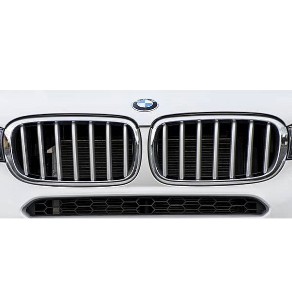 Решітка радіатора Pure Excellence для BMW X5 F15, комплект, 51137316061-51137316062, фото 1