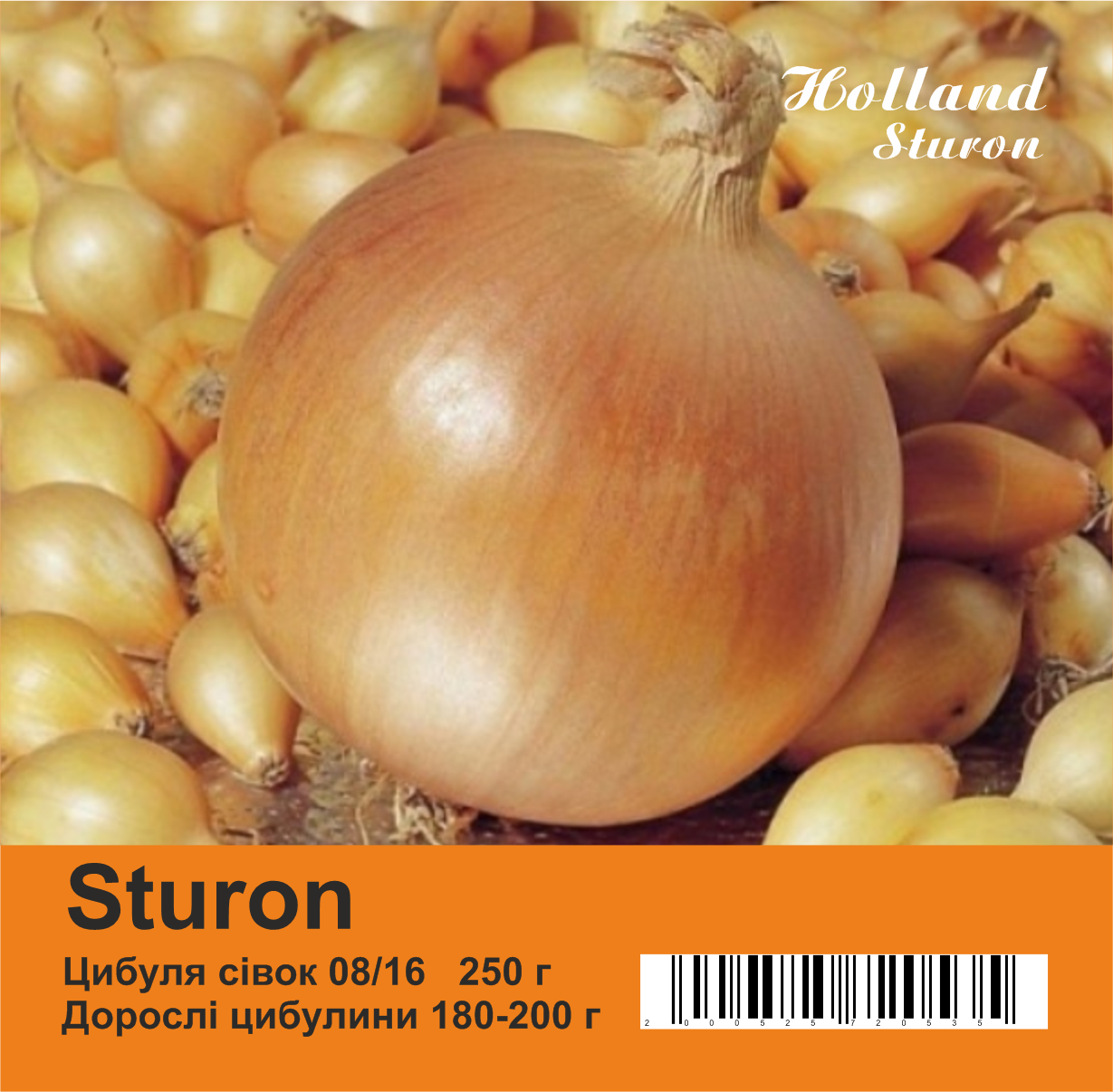 Лук севок Sturon 8/16 250 г, цена 34.99 грн — Prom.ua (ID#1389232380)