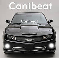 Наклейка на стекло "Canibeat" или любая надпись под заказ. Наклейки на стекло авто, на кузов, куда угодно.в