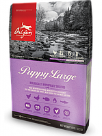 Orijen Puppy Large (38/16) для цуценят і юніорів 11,4 кг