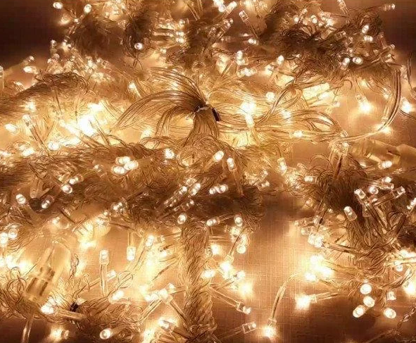 Гірлянда 100LED 10м (контрол.220V) (БП) Теплий, Новорічна бахрама, Світлодіодна гірлянда, Вулична гірлянда