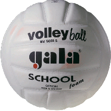 М'яч волейбольний Gala School FBV5031SBE