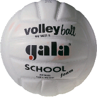 М'яч волейбольний Gala School FBV5031SBE