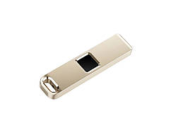 Флешка з захистом відбитком пальця USB 2.0 3.0 64GB 64 GB