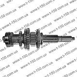 Вал вторинний Т-16 в зборі з шестернями і підшипником, СШ20.37.066, фото 3