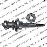 Вал вторинний Т-16 в зборі з шестернями і підшипником, СШ20.37.066, фото 4