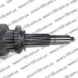 Вал вторинний Т-16 в зборі з шестернями і підшипником, СШ20.37.066, фото 6