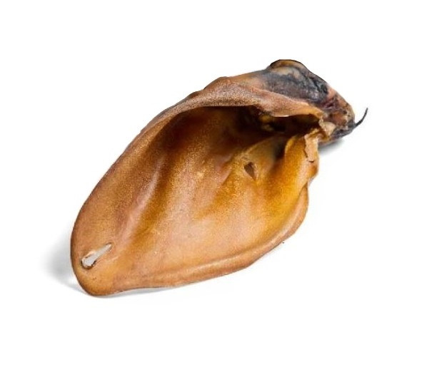 Ласощі для собак вухо яловиче сушене ZooFoD 1 шт, фото 1