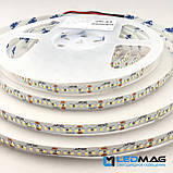 Світлодіодна стрічка ESTAR 2216/266 18Вт 24В 6000-6500К Білий IP20, фото 2