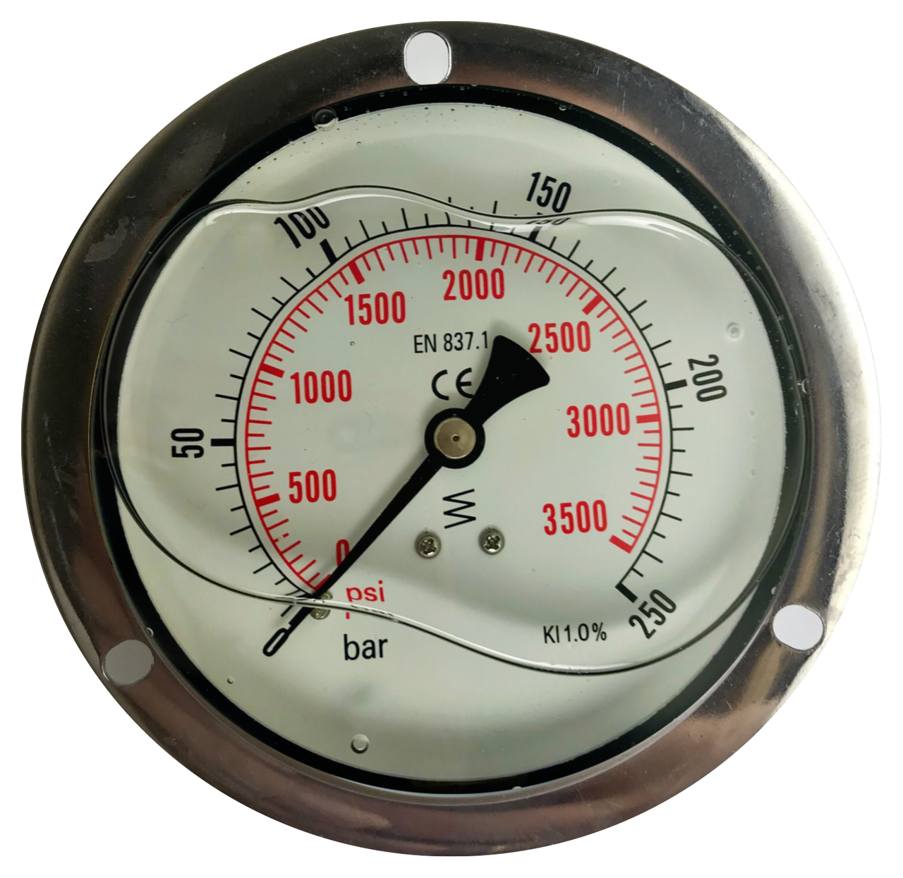 Манометр фланцевий (гліцериновий) DN 100 G 1/2" 250 bar
