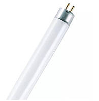 Лампа трубка люминесцентная 8W 56V 330lm 6500K G5 DIM 302.5x16mm [4050300035475] OSRAM Basic T5 Short