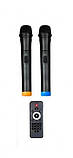 Портативна колонка з мікрофонами Euromax (Rock Music) EU-1202 300 W (USB/Bluetooth/Пульт ДК), фото 5
