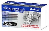 Скоби для степлера і канцелярські № 24 / 6 Kangaro 1000 шт