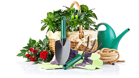 Будинок, сад і город Б2Б