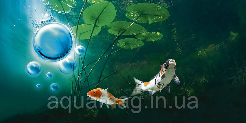 Гелевые кульки с активными бактериями Colombo Bacto Balls Quick start & Maintenan 1 л на 10 000 л, для ставка, озера, водойми, фото 2