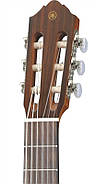 Класична гітара YAMAHA CG142C, фото 3