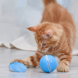 Іграшки для тварин