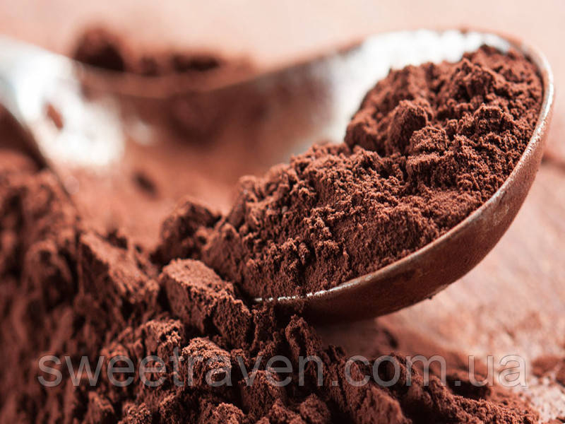 Какао порошок алкалізований (20-22%) deZaan — 100 грамів, фото 1