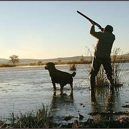 Товари для полювання і риболовлі