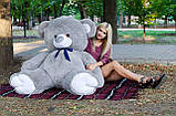 Ведмедик Томмі 200 см, фото 2