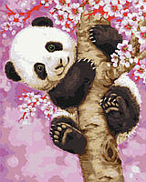 Картины по номерам - Панда на сакуре BS30274