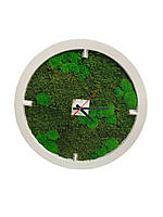 Часы с темно-зеленым стабилизированным мхом Etoile Flora (29.03.01)