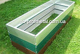 Грядки на дачу металеві, Металеві грядки, Бодюры, Високі борти, Грядки Профнастил., фото 2