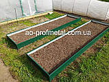 Грядки на дачу металеві, Металеві грядки, Бодюры, Високі борти, Грядки Профнастил., фото 3