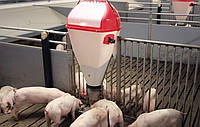 Кормовой автомат (кормушка) для свиней